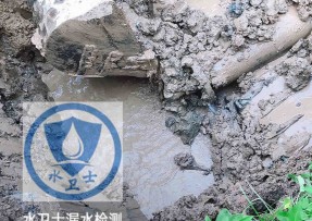 万全水管漏水检测公司5